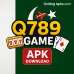 Q789 Game